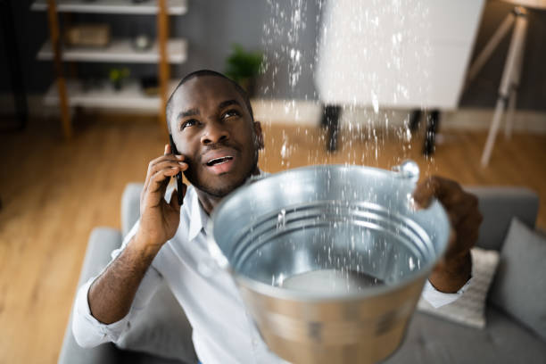 Best Water damage restoration near me  in Oswego, KS