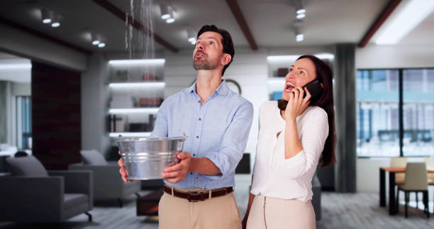 Best Flood restoration services  in Oswego, KS